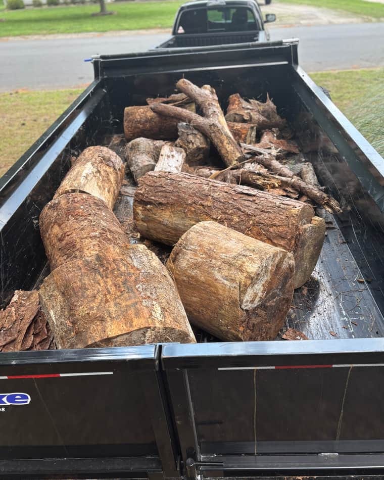Large tree trunk sections and limbs loaded into the dump trailer outside a Charlotte home