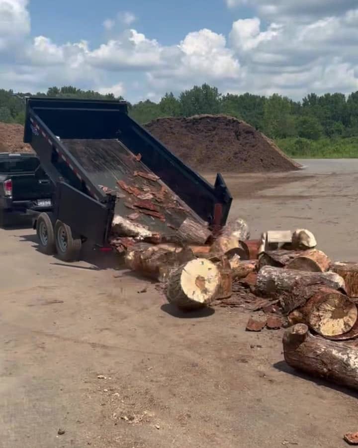 The dump trailer tipped up, unloading the logs at a recycling and mulch yard
